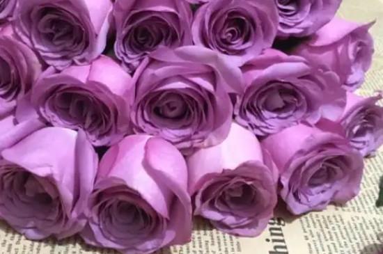 【紫玫瑰送什么人合适】？创造独特思路的礼物攻略