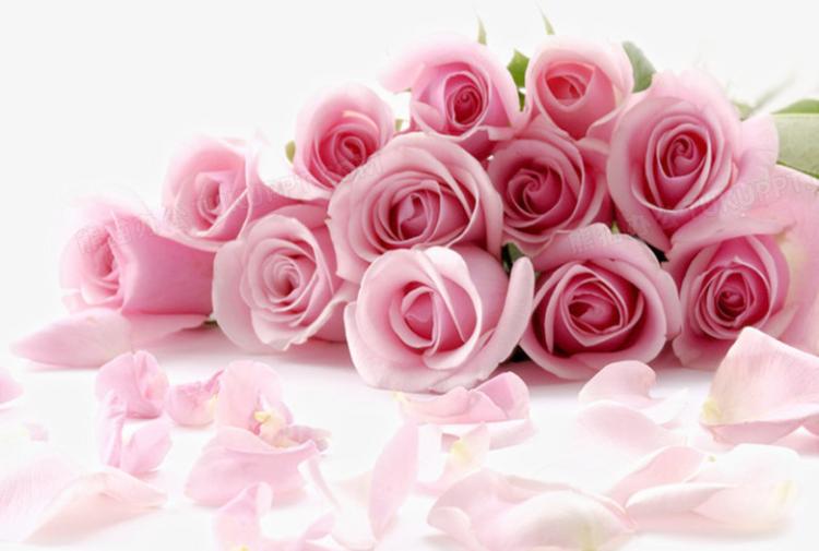 表达感情不容错过浅粉色玫瑰花语，你知道几个？