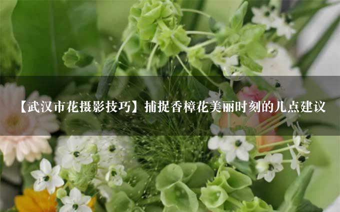 【武汉市花摄影技巧】捕捉香樟花美丽时刻的几点建议