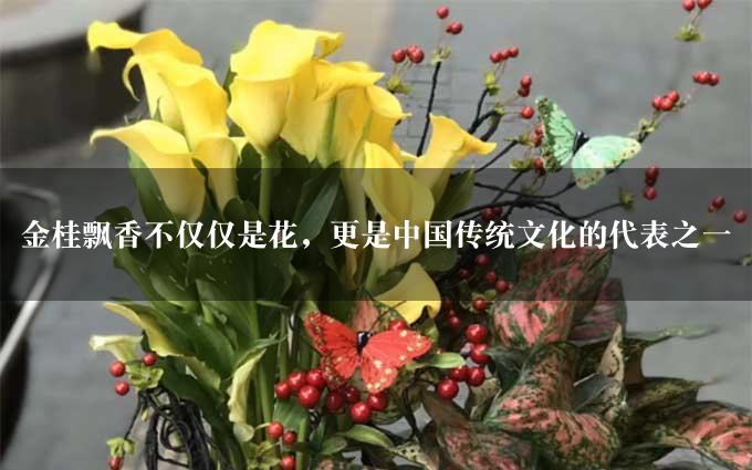 金桂飘香不仅仅是花，更是中国传统文化的代表之一