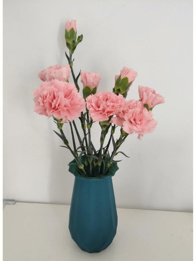 【母亲节送礼】康乃馨花束几支显得最浪漫？