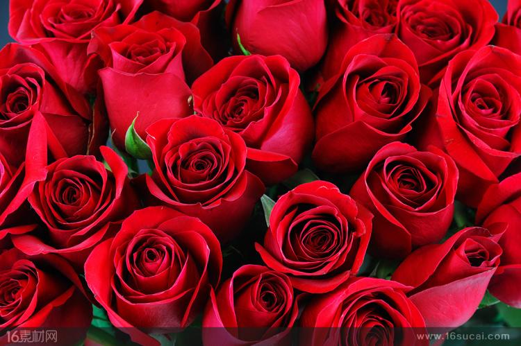 11朵红玫瑰代表什么意思？传递的是这几种爱情信号！
