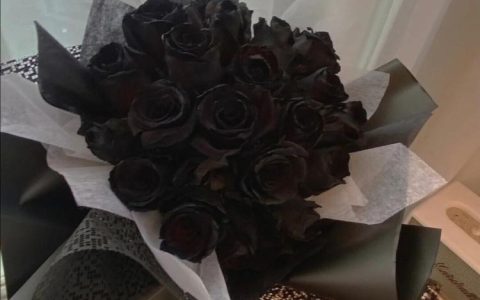 你了解黑玫瑰的花语吗？它是否代表着你是恶魔？