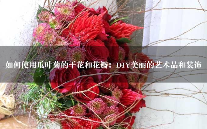 如何使用瓜叶菊的干花和花瓣：DIY美丽的艺术品和装饰