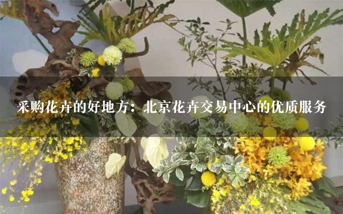 采购花卉的好地方：北京花卉交易中心的优质服务