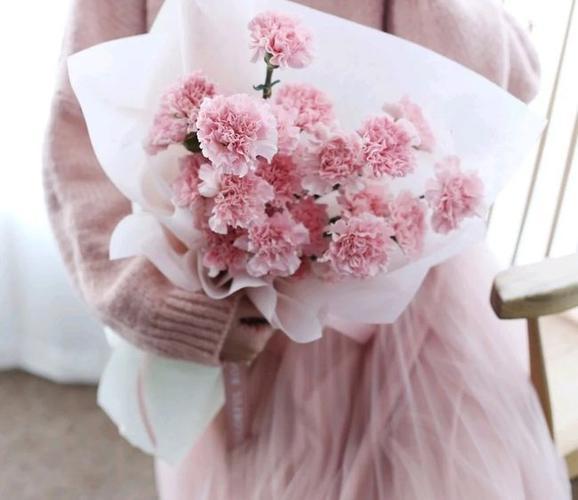 康乃馨缤纷，粉色之美-- 6朵粉色康乃馨的花语！