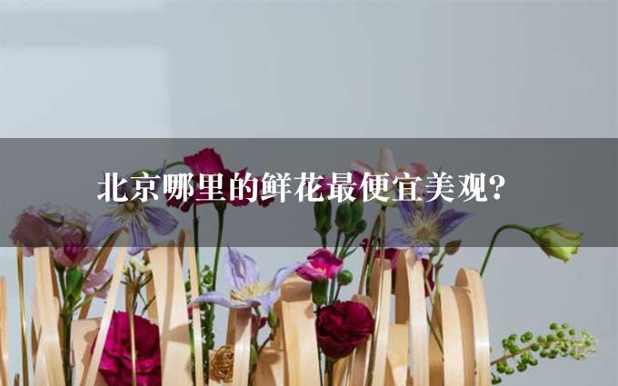 北京哪里的鲜花最便宜美观？