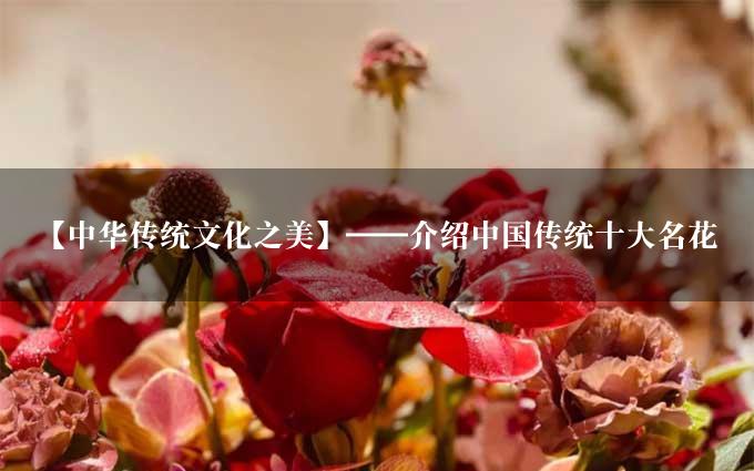 【中华传统文化之美】——介绍中国传统十大名花