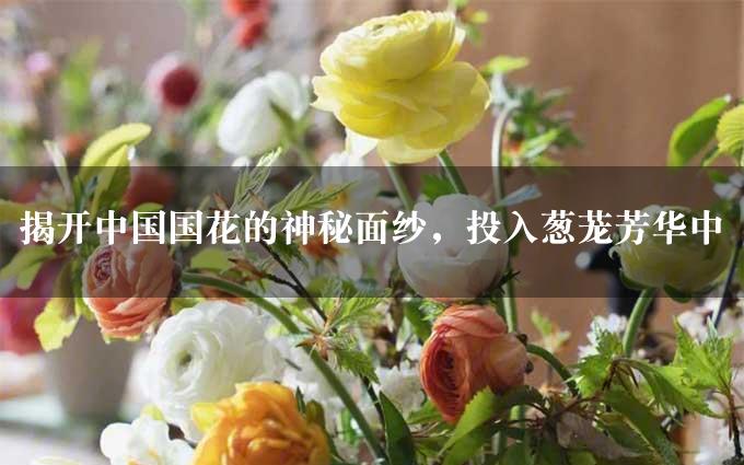 揭开中国国花的神秘面纱，投入葱茏芳华中