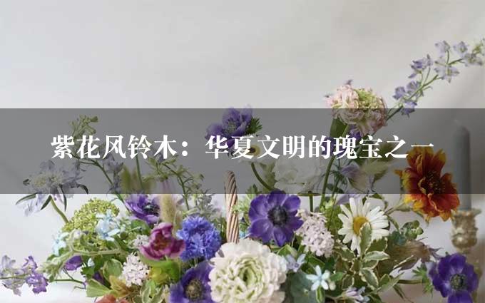 紫花风铃木：华夏文明的瑰宝之一