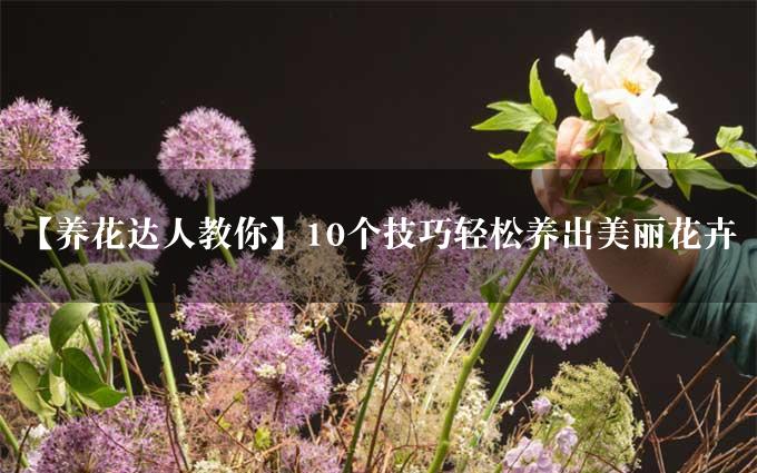 【养花达人教你】10个技巧轻松养出美丽花卉
