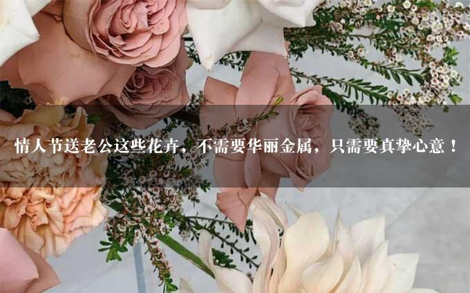 情人节送老公这些花卉，不需要华丽金属，只需要真挚心意！