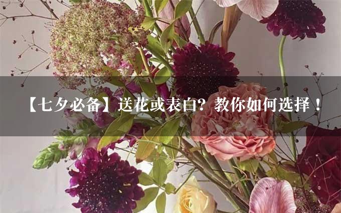 【七夕必备】送花或表白？教你如何选择！
